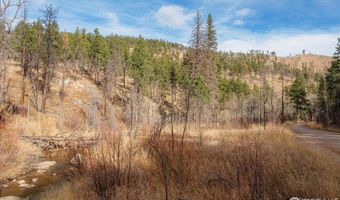 0 Cougar Cir Ct, Bellvue, CO 80512