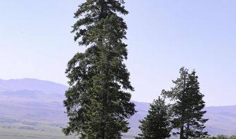 Kingsbury Grade, Gardnerville, NV 89460