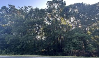 Lot 3a Elberton Highway, Lincolnton, GA 30817