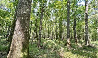 2 Champion Hill Rd, Bolton, MS 39041