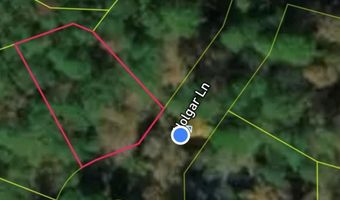 4 Holgar Ln, Hot Springs Village, AR 71909