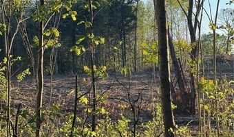 Selma Road, Amelia, VA 23083