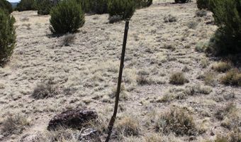 36 County Road 8249, Concho, AZ 85924