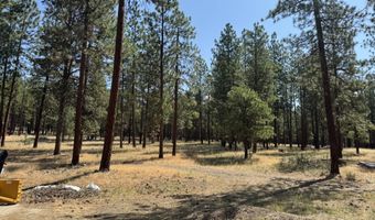 28961 Yonna Wood Rd, Bonanza, OR 97623