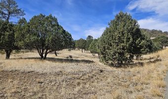 Deer Valley Drive 4, Alto, NM 88312