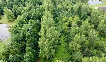 9265 Birch Run Rd, Arbela, MI 48746