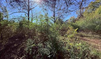 101 Indian Trl, Bald Knob, AR 72010