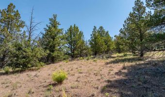 1167 Grande Rd, Alturas, CA 96101