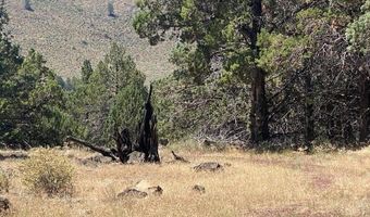 5879 W Langell Valley Rd, Bonanza, OR 97623