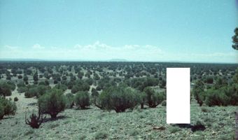 27 N 9204, Concho, AZ 85924