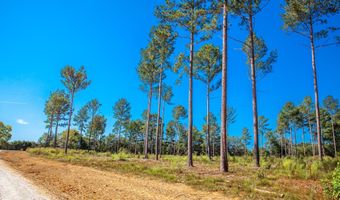 510 Rabbit Pen Dr, Appling, GA 30802