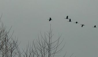 8797 E Willow Rd, Bloomfield, IN 47424