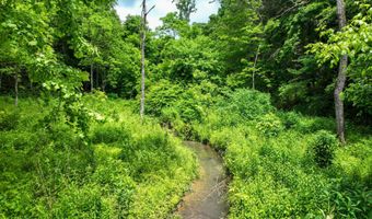 24483 Cave Creek Rd, Abingdon, VA 24211