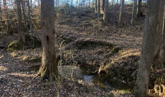 0 Hwy 51S, Homer, GA 30547