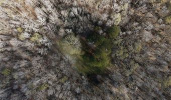 Maddox Road, Ackerman, MS 39735