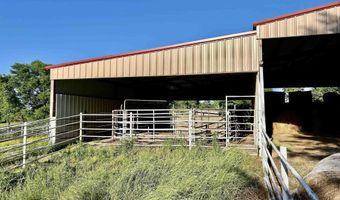 191 County Road 368, Albertville, AL 35951