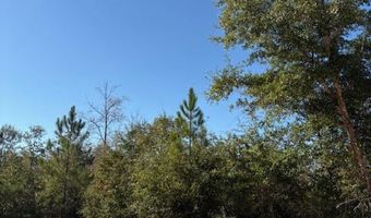 Southern Boulevard lot 27, Alford, FL 32420