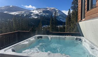 926 Nuthatch Dr, Alma, CO 80420