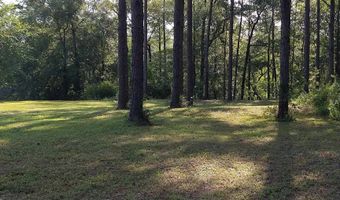 29006 Harbor Rd, Andalusia, AL 36421