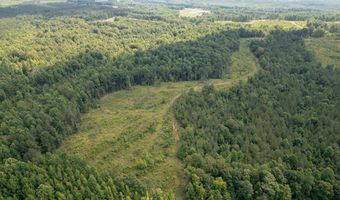 Hwy 9, Bruce, MS 38915