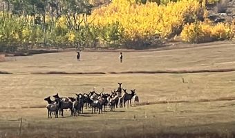 14884 Rist Canyon Rd, Bellvue, CO 80512