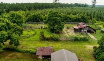 10886 Burtons Ferry Hwy, Allendale, SC 29810