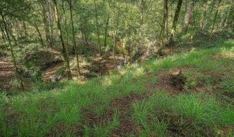 NW 218TH LANE, Alachua, FL 32615