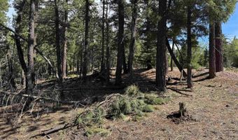 El Vado Way lot 1662, Angel Fire, NM 87710
