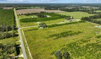 Lot 2 50th Ave, Bell, FL 32619