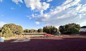 47 County Road 8306, Concho, AZ 85924