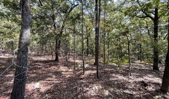 Highway 2 lot 6-9, Antlers, OK 74523