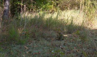 Cr 816, Blue Mountain, MS 38610