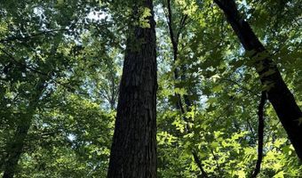 Cr 244, Abbeville, MS 38601