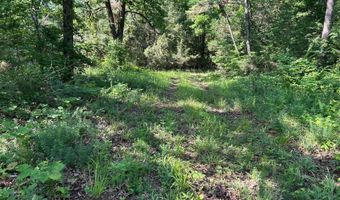 0 County Road 217, Blue Springs, MS 38828