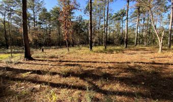 10 Drinkard Rd, Bay Minette, AL 36507