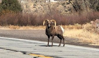 Lot 15 Conejos Trl Blk 10, Antonito, CO 81120