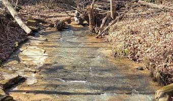 700 Acres Puncheon Creek Ln, Allred, TN 38542