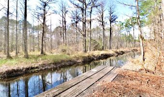123 Westover Dr, Adel, GA 31620