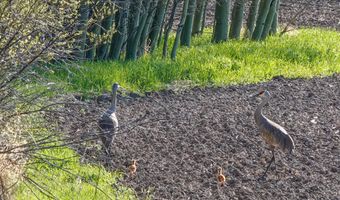 300 W TETON HIDEAWAY Dr, Alta, WY 83414
