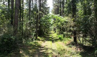 8501 Lawsontown Rd, Adger, AL 35444