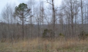 Fox Hill Road lot 4 & 5, Baxter, TN 38544
