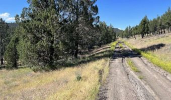 639 Pheasant Dr, Alturas, CA 96101
