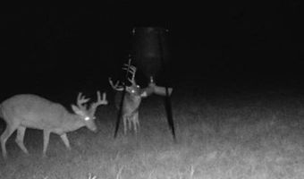 Hwy 131, Baker Hill, AL 36027