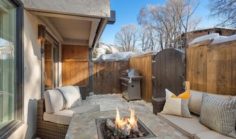 1024 E Cooper Ave 3A, Aspen, CO 81611