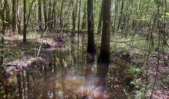 000 Pebble Cove Rd, Abbeville, AL 36310