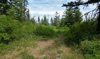 Nka INITIAL PEAK RD, Cataldo, ID 83810