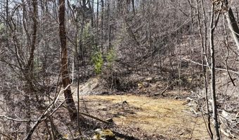 99999 Green Ridge Falls Rd 17, Barnardsville, NC 28709