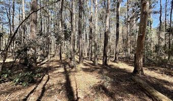 0 Lot 2 Creek Place Rd, Arapahoe, NC 28510