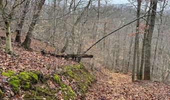 RT 64 Braden Hill Rd, Alma, WV 26320