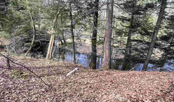 2391 McConnell Rd, Brandon, VT 05733